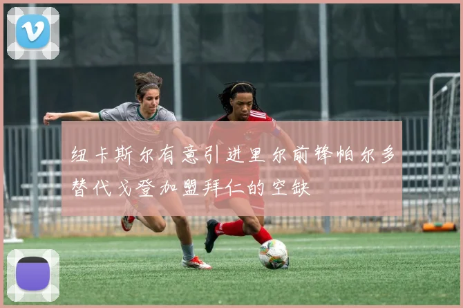 纽卡斯尔有意引进里尔前锋帕尔多替代戈登加盟拜仁的空缺